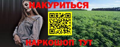 сатива Коммунар